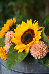 Sunflowers dahlias autumn flowers in metal bucket floral arrangement © Dudu