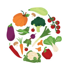 Round vegetable composition with pumpkin, tomato, broccoli, beetroot. Natural veggies of summer and autumn seasons banner. Fresh food clipart circle on white. Healthy eating vector illustration.
