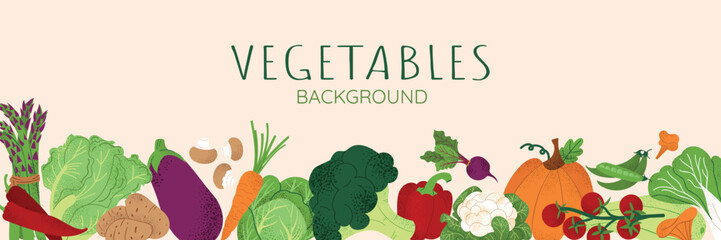 Vegetable banner with healthy organic food. Natural veggies of summer and autumn seasons. Fresh pumpkin, tomato, broccoli, cabbage, peas, mushrooms. Hand drawn illustration on pastel background.
