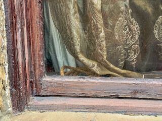 Looking at exterior of an old vintage historic building shows closeup of a stone brick wall facade with wood frame around window. Drape curtains are old fancy  nylon fabric.