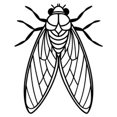 Detailed illustration of a cicada insect on a clean white background for banner or advertisement designs