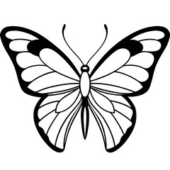 Butterfly Illustration on a White Background Vector Graphic Featuring Detailed Insect Design for Creative Projects and