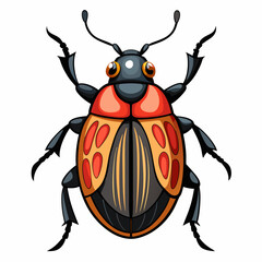 Detailed vector illustration of a beetle on a clean white background ideal for scientific or educational