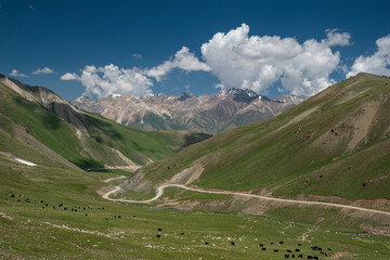 Wide angle landscape of a winding road going through a highland mountain pass surrounded by high peaks with glaciers. Summer day, blue sky with white clouds. Kyrgyzstan, Naryn Region, Central Asia.