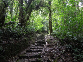 the way