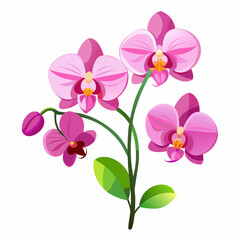 Naklejka premium Elegant pink orchids on a clean white background perfect for invitations cards or digital design projects