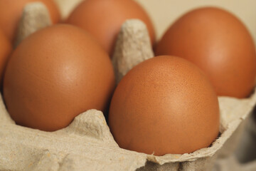 Fresh eggs from organic farms every morning