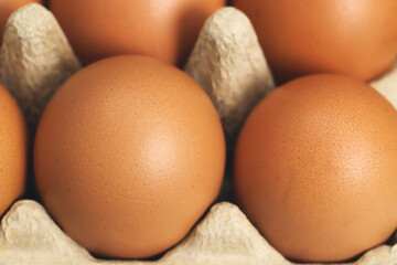 Fresh eggs from organic farms every morning