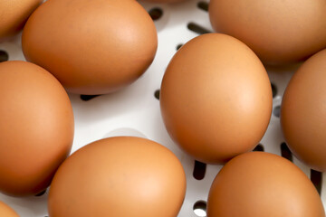 Fresh eggs from organic farms every morning