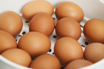 Fresh eggs from organic farms every morning