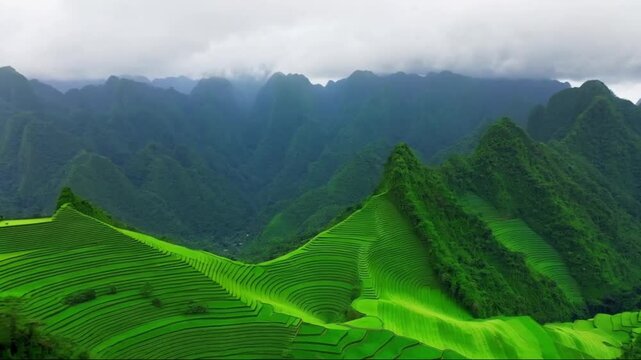 Drone Ascent of Rolling Mountains near Mae Salong, Chiang Rai Province in the Rainy Season July 2024 Green Lush Thailand 4k video - Green House, generative AI