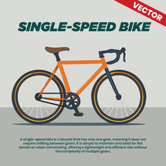 Single speed bike vector infographic including explanation