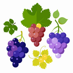 A ripe bunch of red grapes on a leafy vine, perfect for wine or fresh fruit illustrations