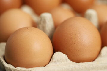 Eggs are the best protein and are inexpensive and readily available