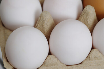 Eggs are the best protein and are inexpensive and readily available