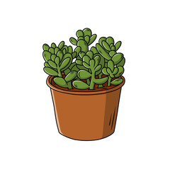 Hand Drawn of a Potted Succulent Plant
