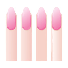 Set of Pink French Tip Nails Display