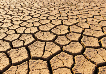 A close-up texture of dry, cracked soil, forming an abstract pattern. A background representing drought, arid conditions, and environmental effects.
