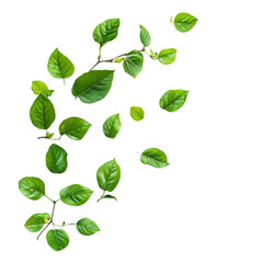 Green leaves vibrant colors abstract design nature artwork