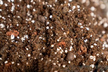 rich organic potting soil with perlite and clay pebbles, perfect for gardening, plant growth,...