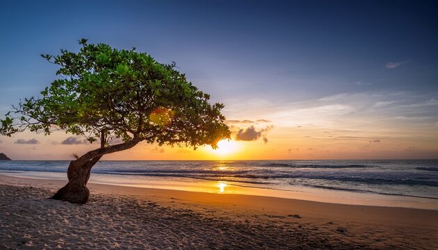 tropical sunset beach scene with lone tree