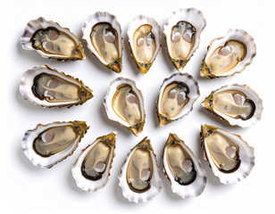 AI generated top view of fresh whole oysters with glistening shells and plump meats arranged neatly showcasing luxury seafood against clean white background