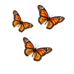 Three Monarch Butterflies on Abstract Striped Background