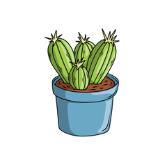 San Pedro Succulent in a Pot Handdrawn Illustration