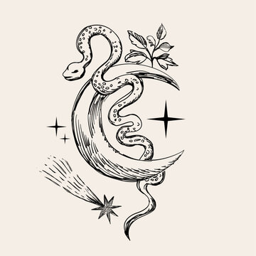 Vintage-style mystical composition with hand-drawn celestial style. 
