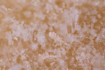 Macro pattern of ice crystal form on top layer of frozen food