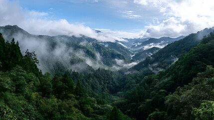 Misty Dasyueshan Valley, Ideal For Wide Landscape Visuals And Nature Tours