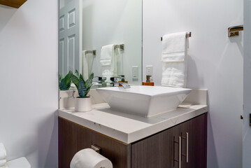 Modern bathroom white sink wood cabinet