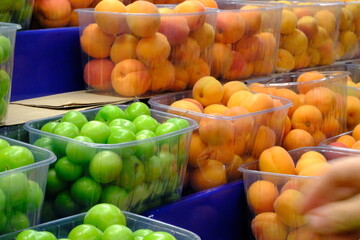 Fresh summer fruits sold in a market. Healthy vegan nutrition. Apricots and green plums close-up. Vitamin store, apricot, plum. Vegetable and fruit prices in the greengrocer's. Organic farming.