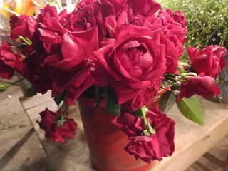 Beautiful red rose flowers in a flower shop. Red roses for ceremony.  
