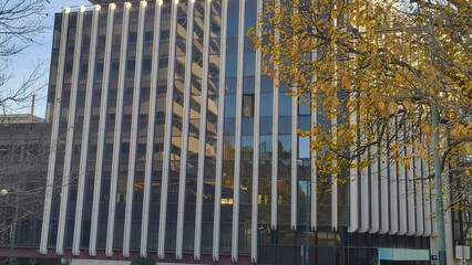 Wonderland Lisboa Ferris Wheel with Clear Blue Sky and Tourist Buses