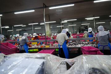 Workers process fish in a bustling facility during daylight hours in a seafood processing plant