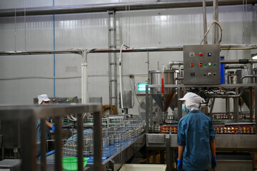 Workers operate machinery in a food processing factory during daytime hours