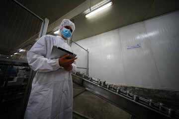Worker in protective gear monitors production line in food processing facility