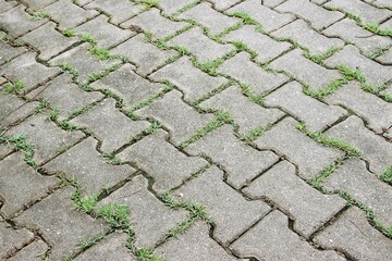 Dumbbell shape paver block floor pattern background