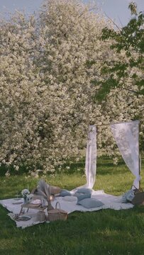relaxing picnic setup under blooming trees