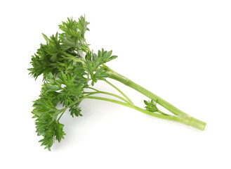 Sprig of fresh parsley isolated on white, top view