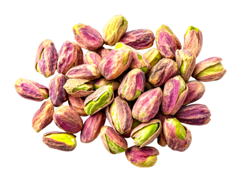 Harvesting fresh pistachios farm in california food rustic setting isolated on transparent background