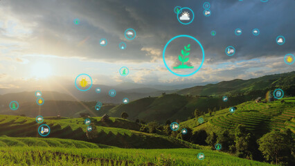 Innovative Agriculture Technology with Data Visualization Symbols Over Lush Green Terraces: Advanced Farming in the Digital Age