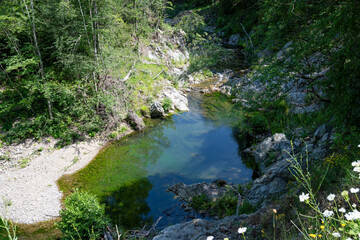 Small, Clear Pool in a Forest Stream