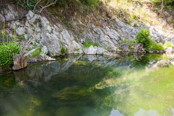  Igneada Stream with Green Trees and Clear Water