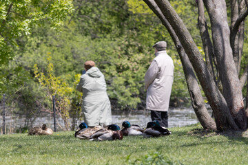 Spring bird watching