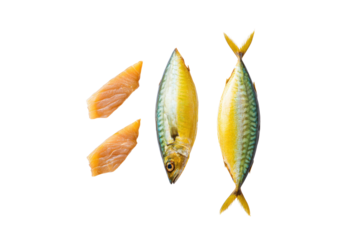 Flat-lay mirrored iced mackerel pair forming V on slate, rim glow enhancing cool palette for sashimi branding