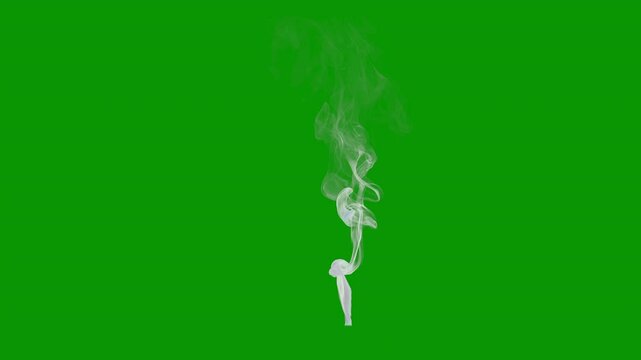 Wispy smoke rising 03, orthographic view, two speeds, 4k 24p, with green screen for transparent background