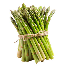 asparagus on white background
