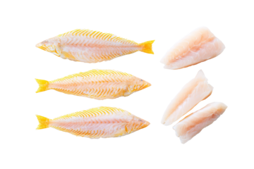 Whole Haddock – Flat-Lay Stock Photography